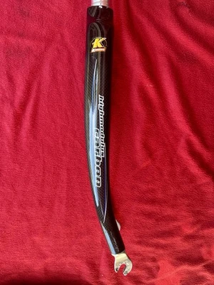 Kinesis carbon fiber 700c Bicycle Fork  1-1/8 Threadless 260mm steel - Image 1 of 4