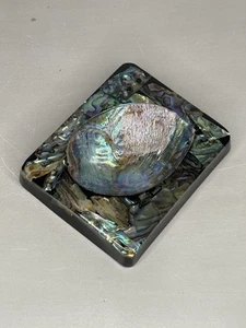 VTG Abalone Pāua Shell Trinket Dish Lucite Resin Encased New Zealand South Seas - Picture 1 of 11