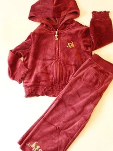 NUEVO CON ETIQUETAS GYMBOREE NIÑAS TERCIOPELO SUDADERA CON CAPUCHA CONJUNTO PANTALONES PERRO BORGOÑA 2T 2 HUESO PRÍMULA LÍNEA - Imagen 1 de 5