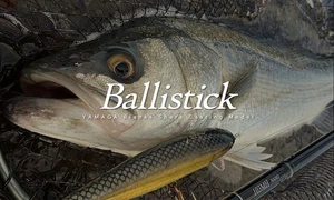 Sale Yamaga Rod Spinning Seabass Model Ballistick BAL-102MH TZ/NANO (0395) - Picture 1 of 6