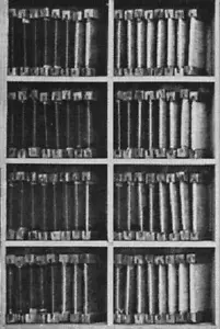 MASSIVE Library of Literary Classics (from past c. 300 years) on DVD ROM Disc - Picture 1 of 7
