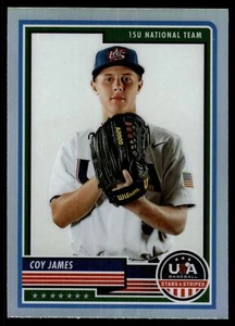 2023 Panini Stars & Stripes COY JAMES SILVER PRIZM #31 - Picture 1 of 2