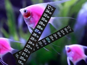 STICK ON DIGITAL THERMOMETER ADHESIVE AQUARIUM FISH TANK WATER STRIP  LCD - Picture 1 of 3