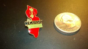 NEW JERSEY Shape GARDEN STATE Travel Souvenir LAPEL PIN - Picture 1 of 3