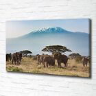 Leinwandbild Kunst-Druck 100x70 Bilder Tiere Elefant Kilimanjaro
