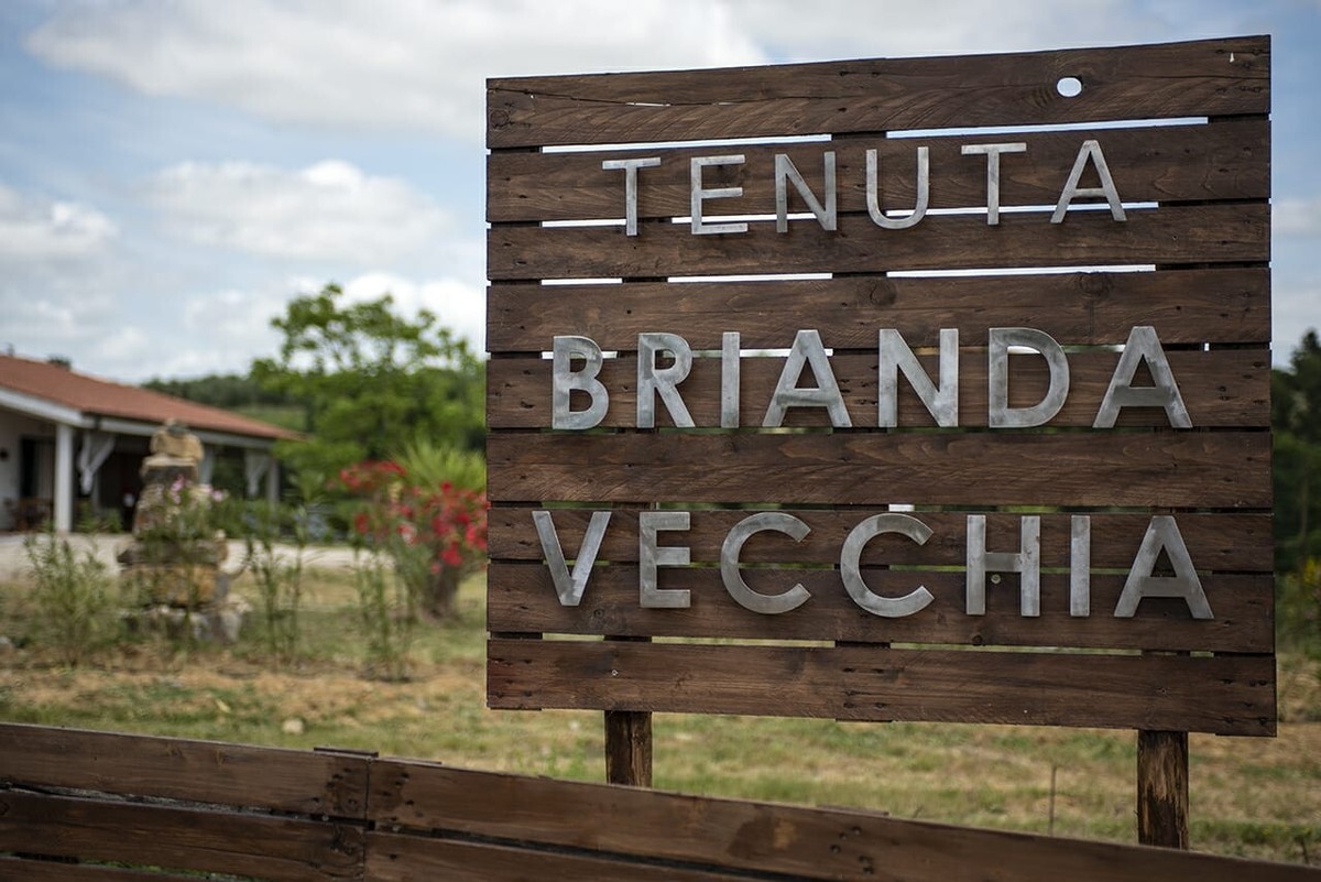 Cartello In Metallo Romania Bucarest - 15,2x30,5cm, Decorazione Retrò Per Casa Ed Esterni - Foto 9