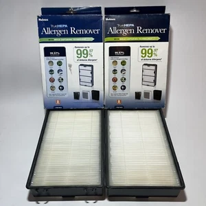 2 Holmes HAPF600M True HEPA Allergen Remover Mold Capturing Type B Filters - Picture 1 of 8