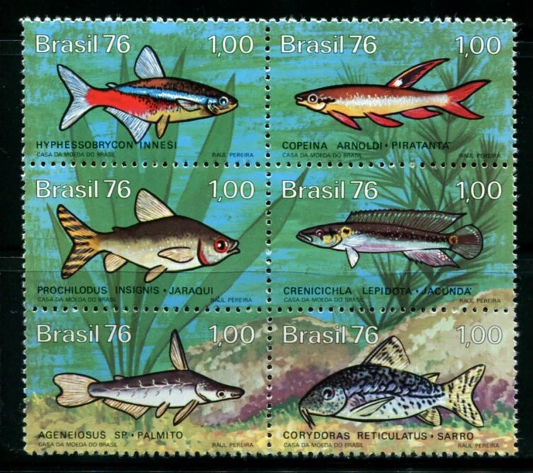 BRAZIL 1976 - Stamps Brazilian Freshwater Fishes Fauna Animal Tropical - MNH - Image 1 of 1