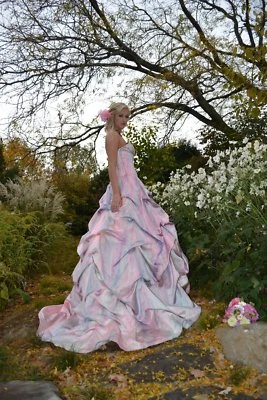 Vestido de novia de seda Anne Barge Couture rosa rubor rosa blanco 12 4 6 pequeño 2 Foto 1 de 4