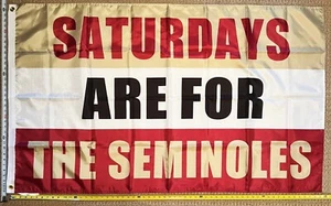 Football Flag FREE SHIPPING Florida State Seminoles Beer NFL College USA 3x5' - Picture 1 of 1
