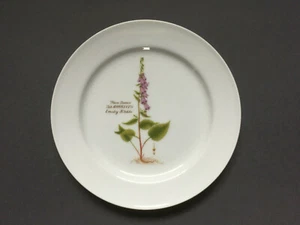 Hilsen fra Faxe Depotet 1986 Teller Kuchenteller ensidig klokke Flora Danica - Bild 1 von 2