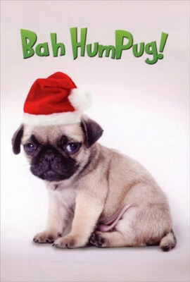 Nobleworks Bah Hum Pug Funny / Humorous Dog Christmas Card