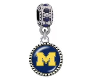 School Dangle Charm, Stainless Steel Zircon, For Bracelet - Picture 1 of 2