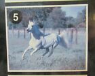 WHITE STALLION POSTER NEW EARLY 2000S RARE VINTAGE COLLECTIBLE OOP 16 X 20 HORSE