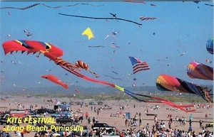 Kite Festival Long Beach Peninsula Postcard Unposted - Picture 1 of 2