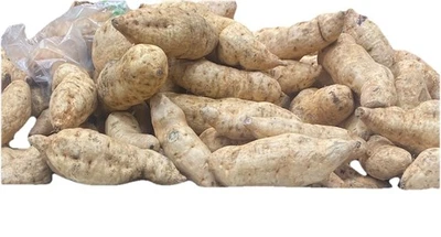 10 Lbs - Purple Flesh Japanese Okinawan Sweet 🍠 Hawaiian Potatoes FRESH FROM FL - Image 1 of 4