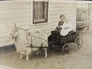 Early 1910s RPPC Goat Drawn Wagon w/Children ~ Farm Life ~ AZO Stamp Box - Picture 1 of 5