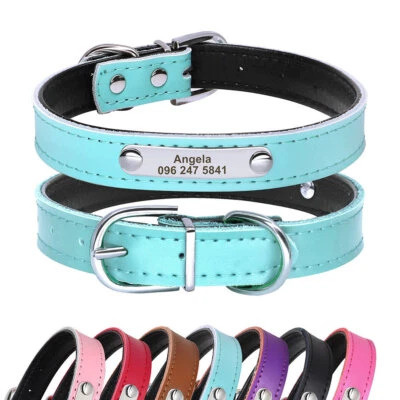 Personalisiert Hundehalsband Katzenhalsband mit Namen Gravur Leder Gepolstert