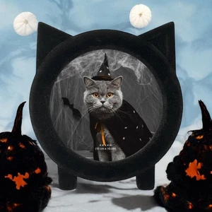NEW Isaac Jacobs Black Cat Resin Flocked Fuzzy Kitten Picture Photo Frame - Picture 1 of 4