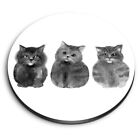 Round MDF Magnets - BW - Cute Watercolour Kitten Cats Cat Art #40826