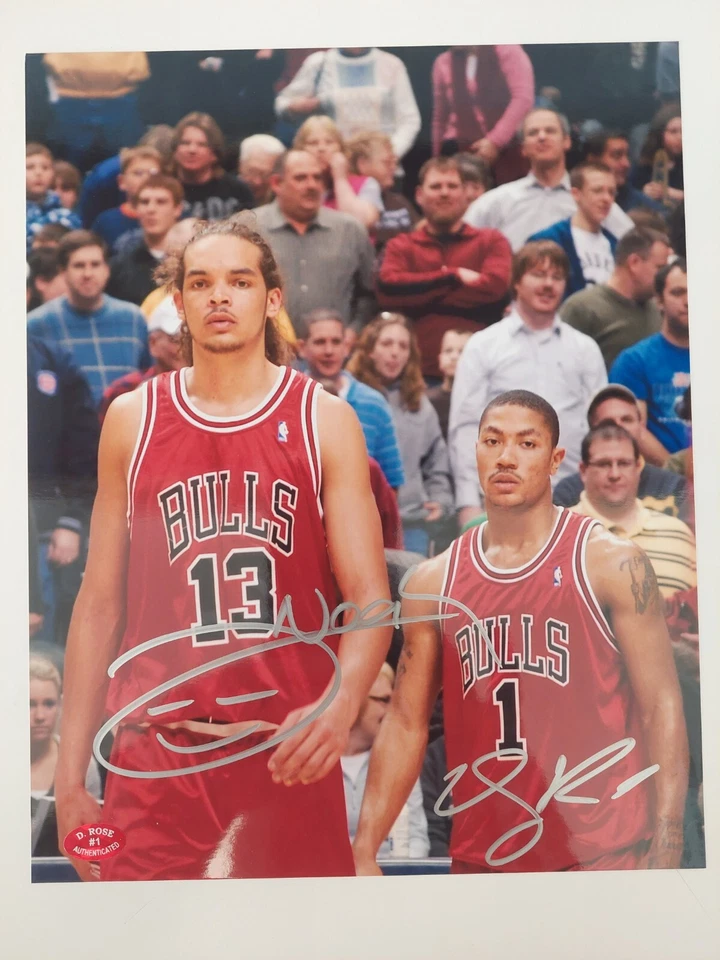 Letrero Derrick Rose & Joakim Noah Chicago Bulls 8x10 foto certificado D. Rose holograma Foto 1 de 1