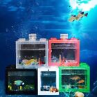 Plastic Betta Fish Tank Multicolor Breeding Box  Desktop Ornament