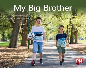 My Big Brother 1st Edition by Jenny Giles (English) Paperback Book - Picture 1 of 1