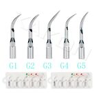 2Packs Dental Ultrasonic Scalers Scaling Tips for EMS WOODPECKER Handpiece G1-G5