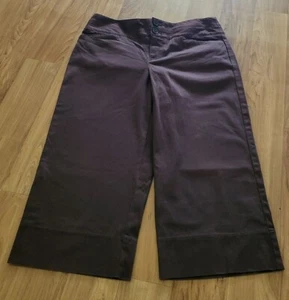Ann Taylor Loft Women's Sz 2 Capri Pants Dark Brown Wide Leg Crop Chino 28X19 - Picture 1 of 7
