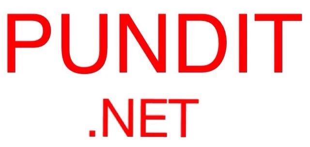 PUNDIT.net 1 One Word Generic Political Domain - Image 1 of 1