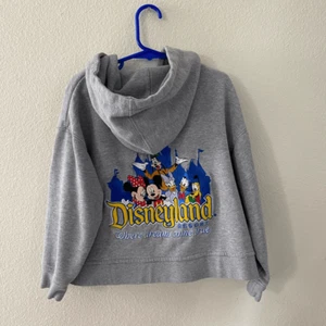 Disneyland Where Dreams Come True” Zip Up Sweatshirt - Picture 1 of 5