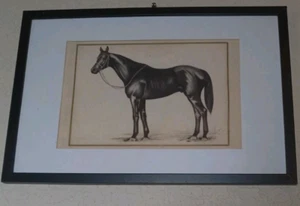 Vintage Original Pferd signiert Gemälde auf Kunsttafel gerahmt schöner Zustand Vintage - Bild 1 von 7
