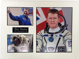 SPACE Tim PEAKE 16 x 12 Montaje A, Astronauta Británico ESA ISS EXPLORACIÓN 46 - Imagen 1 de 1