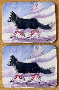 BORDER COLLIE 'HIS FAVOURITE LEG WARMERS' TWO COASTERS - Picture 1 of 1