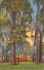 GA~GEORGIA~VALDOSTA~SCENIC BROOKWOOD PARK~C.1945 - Imagen 1 de 3