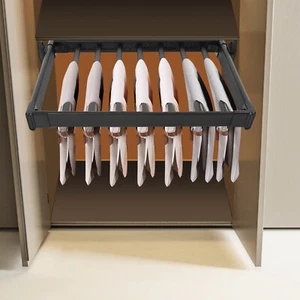 Estante para pantalones extraíble para armario, estante para pantalones, estante para pantalones de armario retráctil - Imagen 1 de 12
