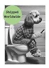 Cavapoo Sitting on Toilet on Mobile Phone Cockerpoo Print Dog Tartan Picture Art