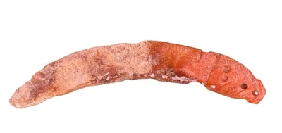 Artefacto precolombino tallado y pulido preclásico occidental de México 150 aC Foto 1 de 4