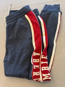 Abercrombie & Fitch Sweatpants Adult Small Blue Preppy Side Logo Lounge Joggers - Picture 1 of 5