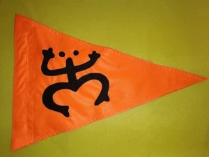 Custom Coqui Frog Safety FLAG Jeep UTV ATV Airboat. Made to fit all poles - Picture 1 of 6