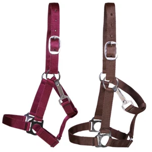 Soporte L-Sport para potros y shettys - Imagen 1 de 3