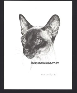 # 414 SIAMKATZE Vorderansicht * Katze Kunstdruck * Feder & Tusche Zeichnung von Jan Jellins - Bild 1 von 1