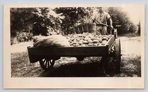 Vintage Photo Farmer with Cart of Potatoes - Picture 1 of 2