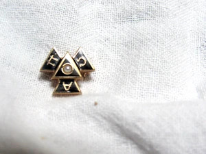 Vintage 10K Gold Enamel Seed Pearls Sorority Pin Pi Alpha Omega - Picture 1 of 5