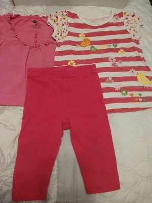 Conjunto de dos camisas y un leggings Faded Glory niñas talla 18 meses Foto 1 de 4