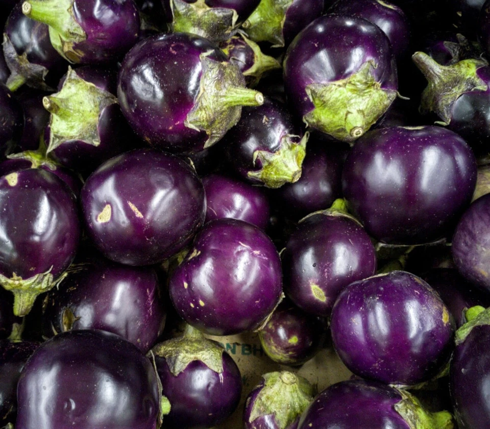 100+ ROUND PURPLE  EGGPLANT THAI ,  Cà Pháo Seeds  Organic  2025, USA - Image 1 of 1