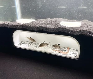 Bottom Dweller Underground Tunnel Aquarium Cave Fish Tank Decorations Ornament - Picture 1 of 9