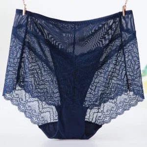 Women Loose Lace Briefs Underwear Knickers Mesh Sheer Sexy Hollow Out Panties - Bild 1 von 16