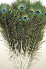 Peacock Mor Pankh Eye Feather Tails- Pack of 25