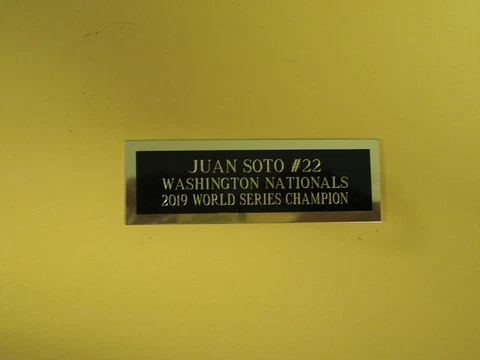 Juan Soto Nationals Nameplate For A Signed Baseball Ball Card Plaque 1X3 Cover